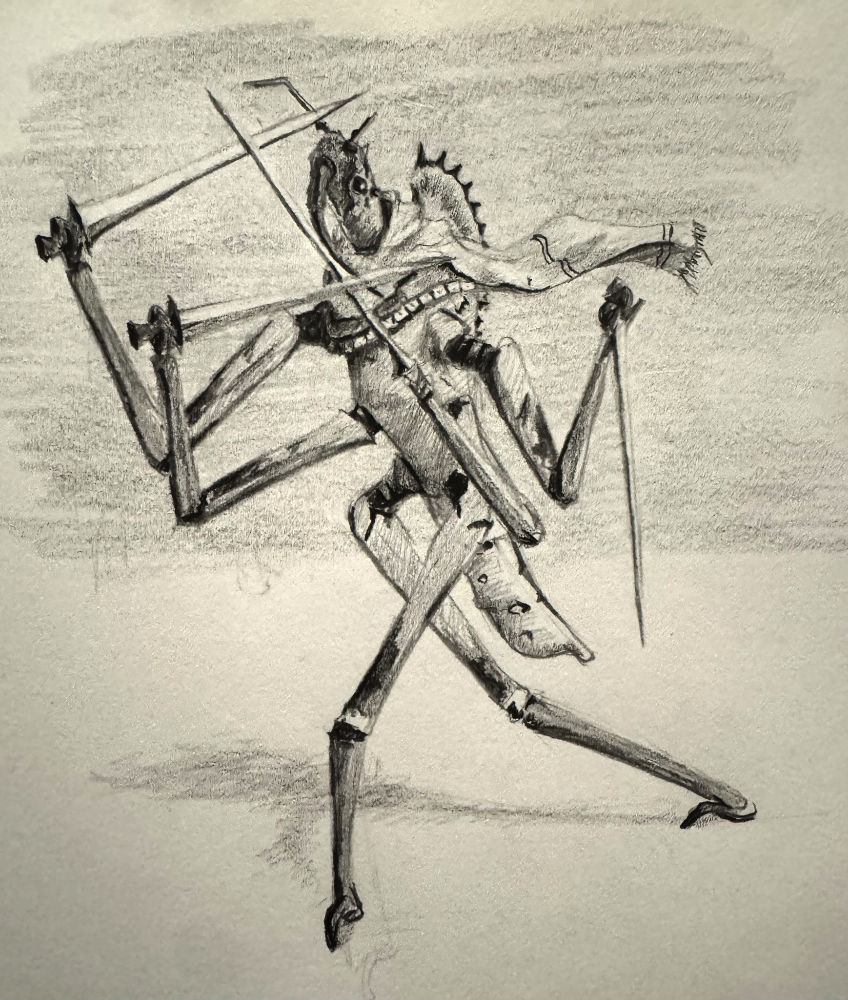 A wheelbug fencer